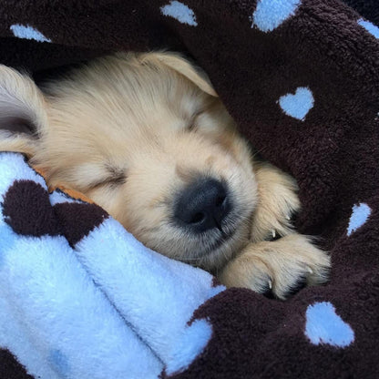 Snuggle Puppy Blanket for Pets - Extra Soft and Long Lasting - Blue Pattern